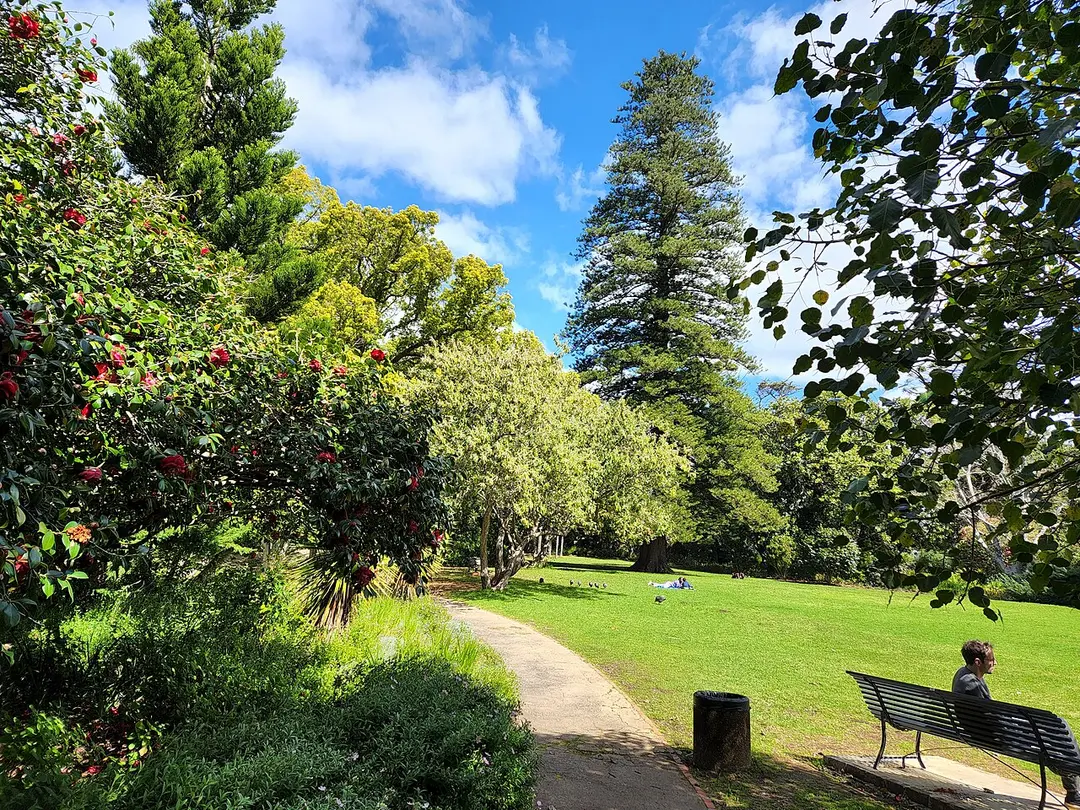 Arderne Gardens