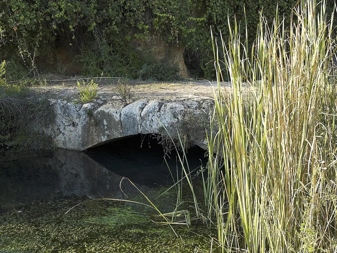 Arapsu bridge
