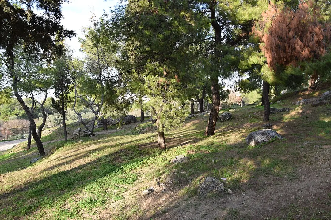 Areopag