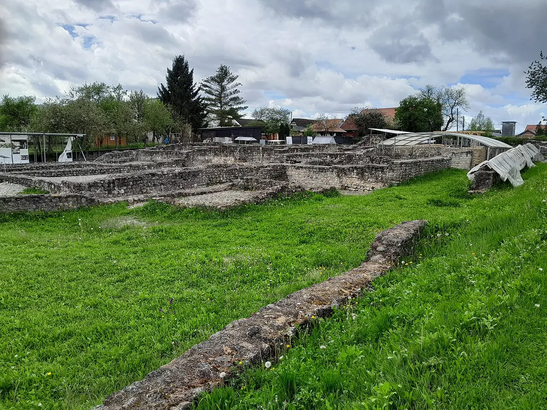 Andautonia