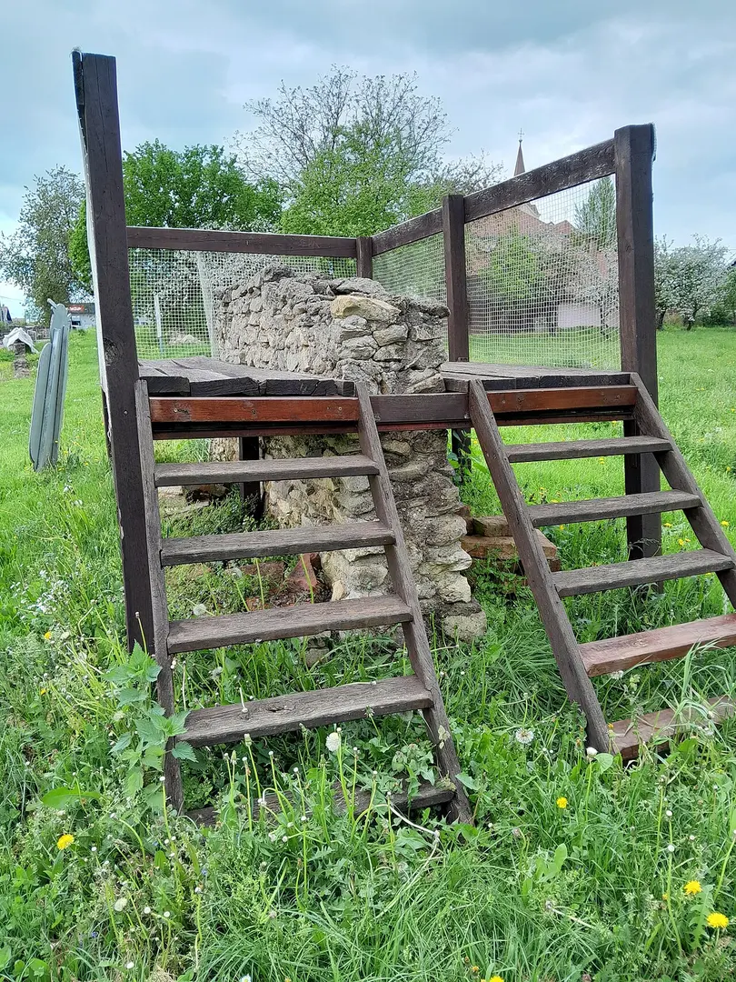 Andautonia