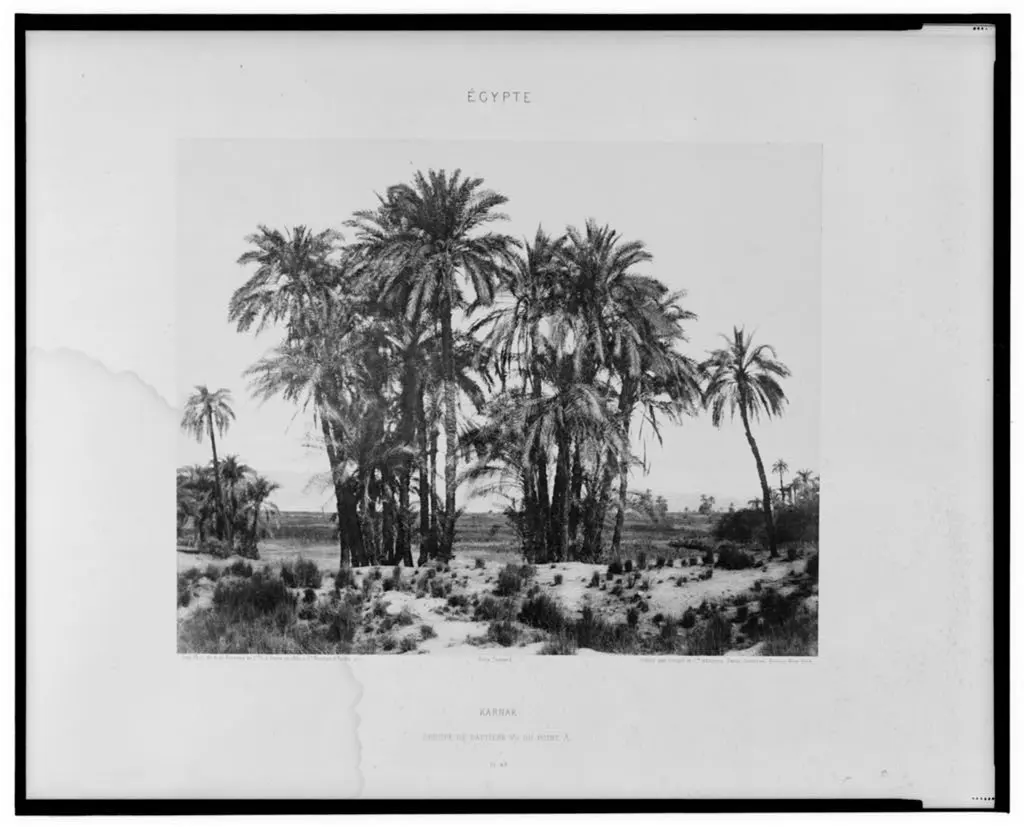 al-Karnak