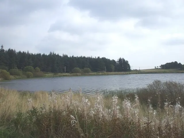 Black Loch