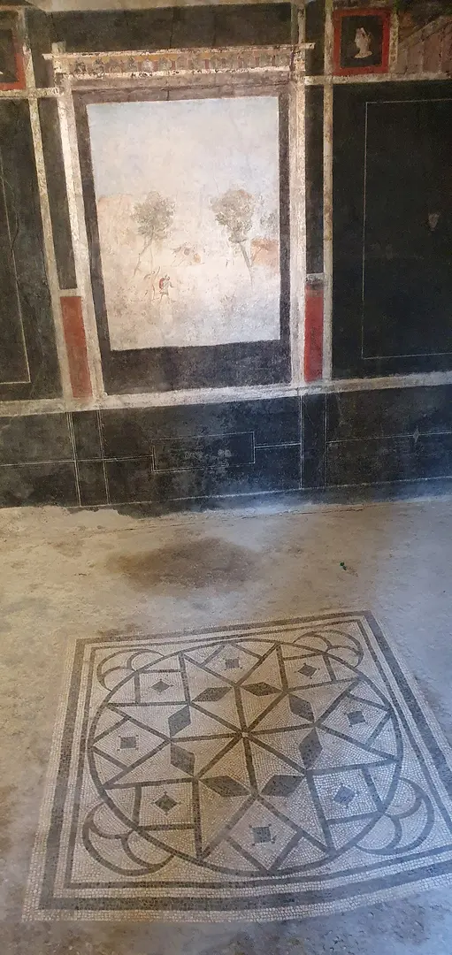Casa dei Cubicoli Floreali