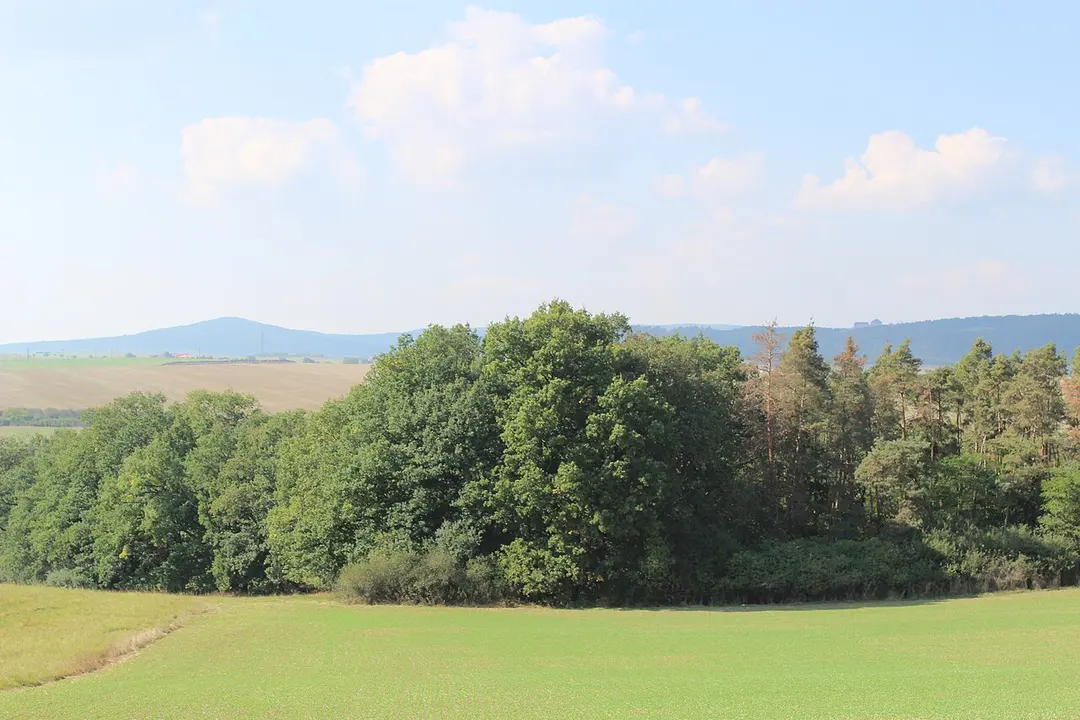 Burg Tocnik