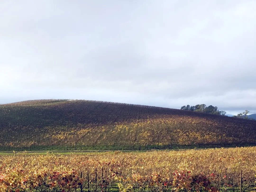 Bliss Hill