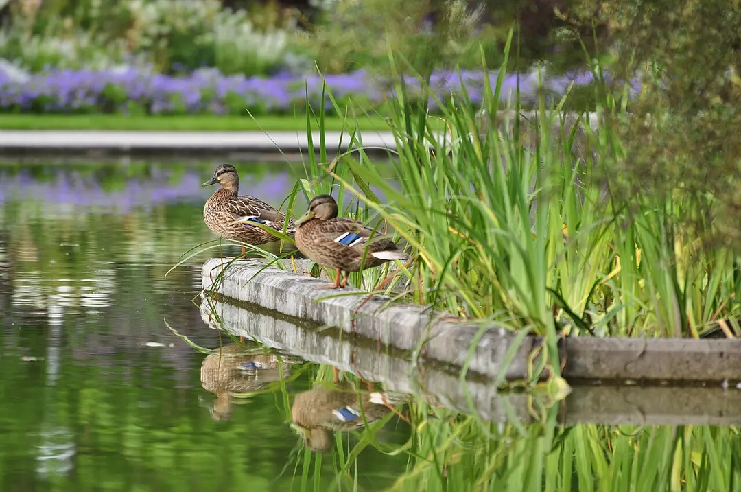Belvoirpark