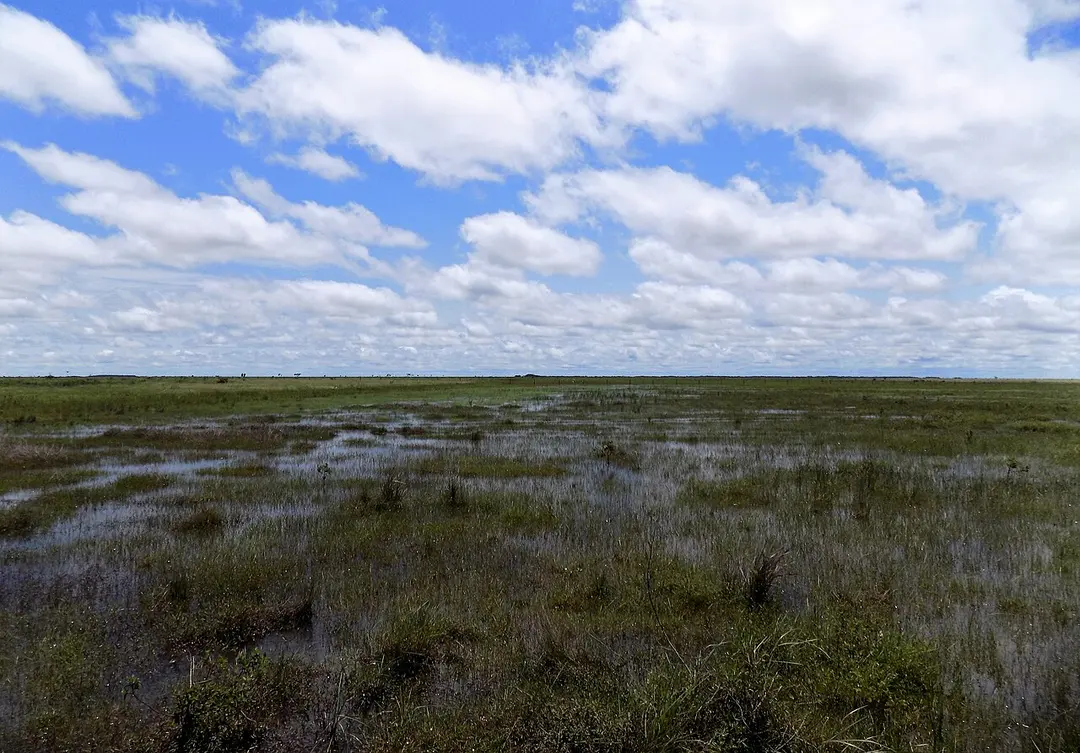 Área de Protección de Flora y Fauna La Primavera