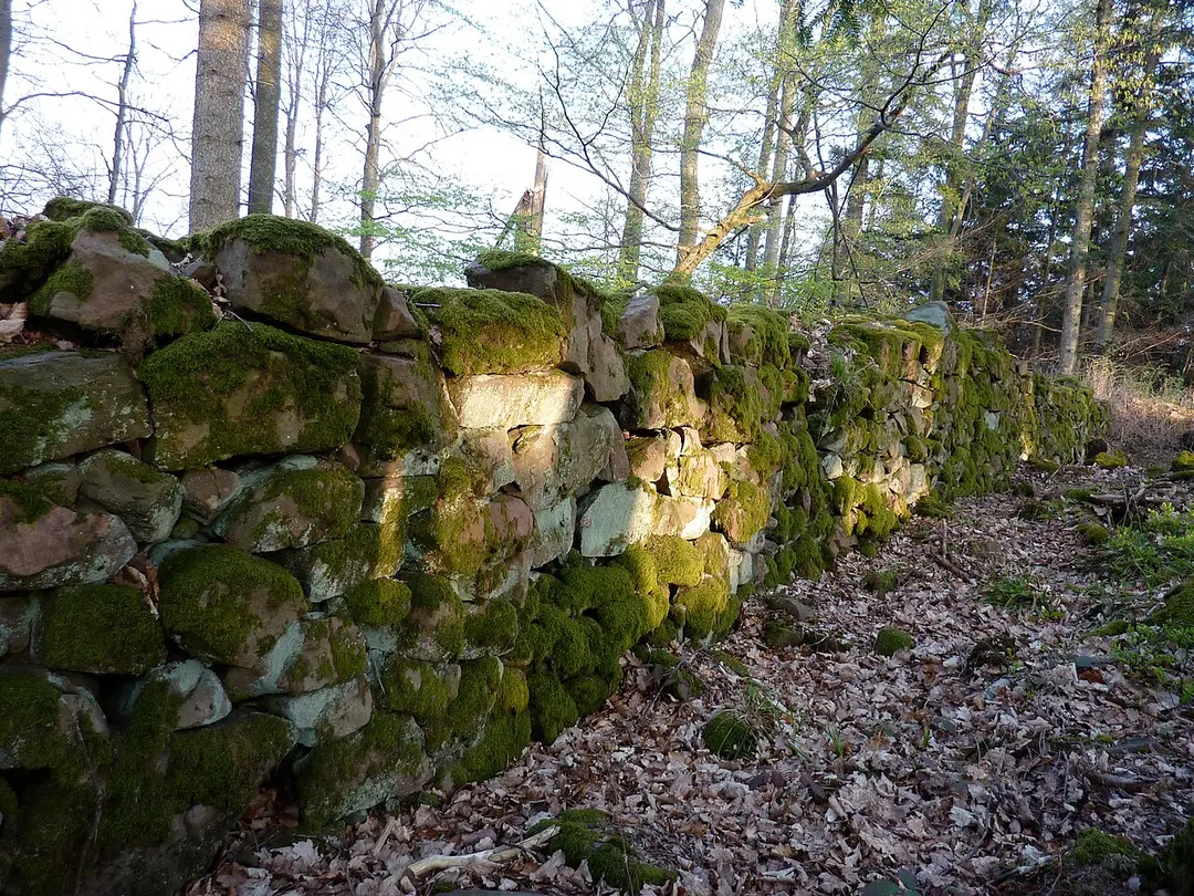 Burg Klein-Ringelstein