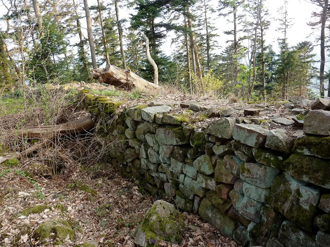 Burg Klein-Ringelstein