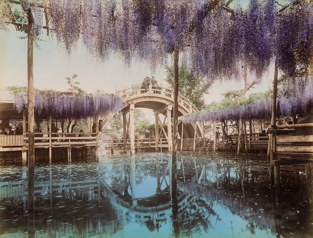 亀戸天神社