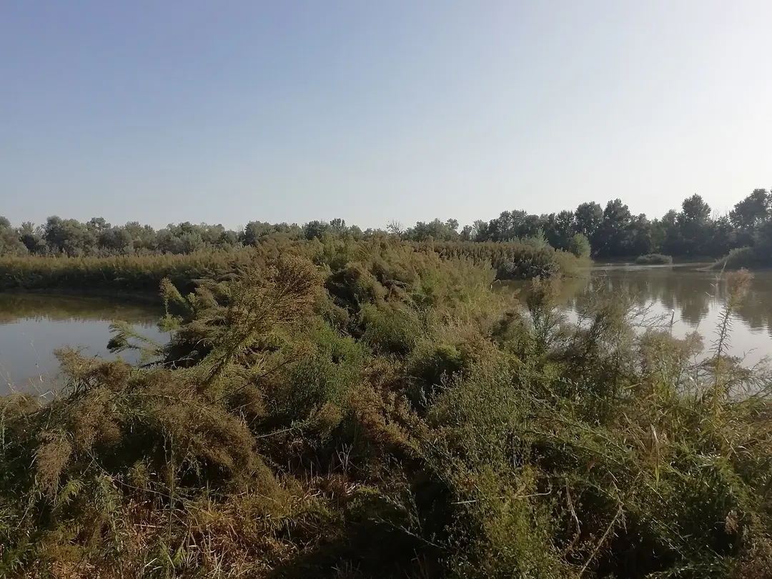 IT4050023 - SIC-ZPS - Biotopi e Ripristini ambientali di Budrio e Minerbio