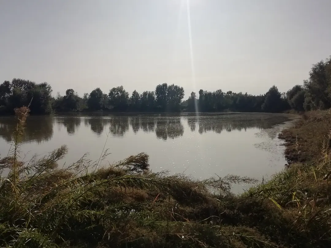 IT4050023 - SIC-ZPS - Biotopi e Ripristini ambientali di Budrio e Minerbio