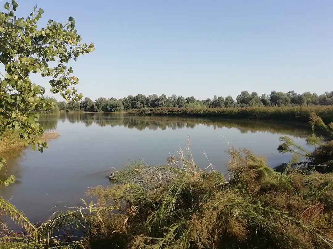IT4050023 - SIC-ZPS - Biotopi e Ripristini ambientali di Budrio e Minerbio
