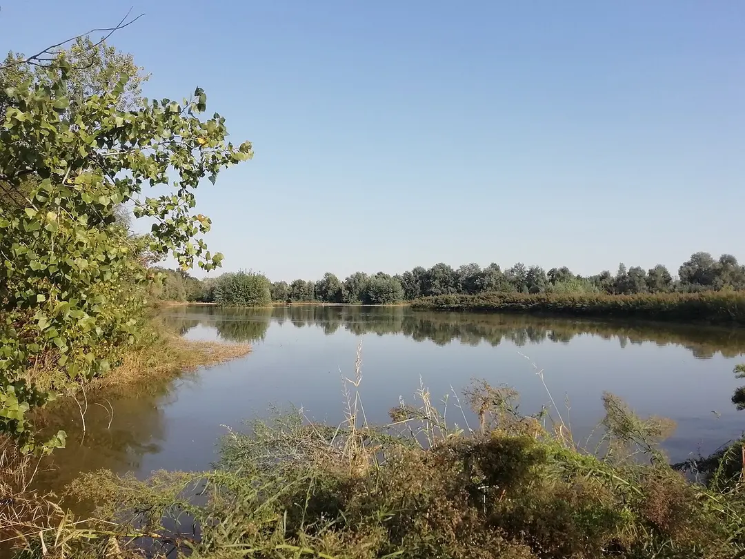 IT4050023 - SIC-ZPS - Biotopi e Ripristini ambientali di Budrio e Minerbio