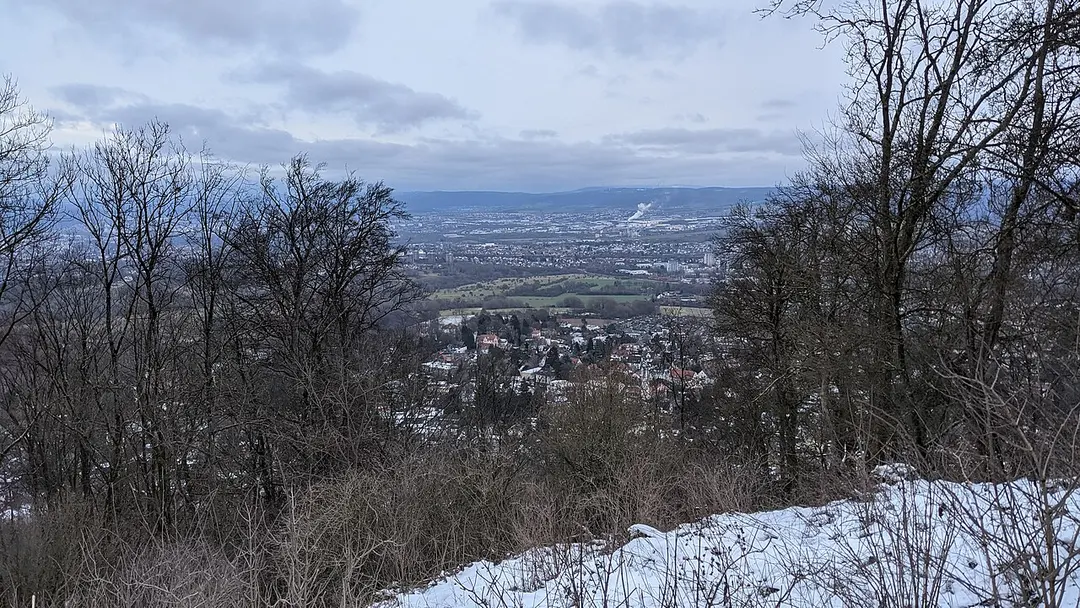 Brasselsberg