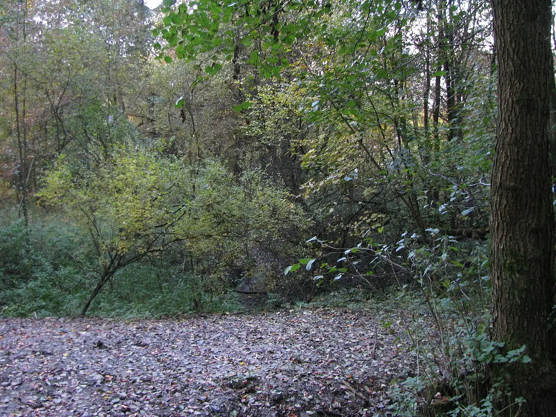 Brasselsberg