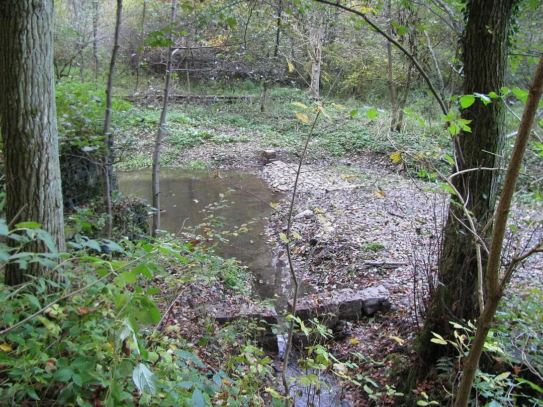 Brasselsberg