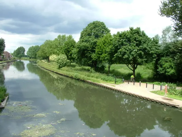 Hackney Marshes
