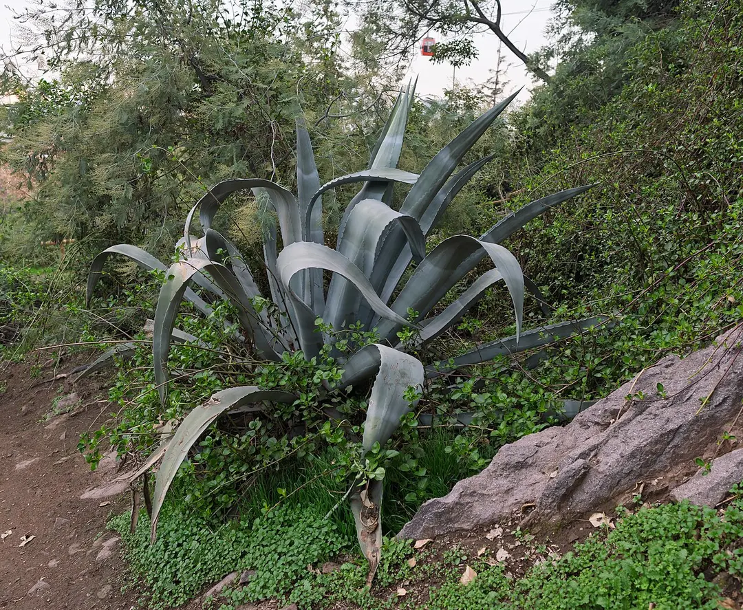 Cerro San Cristóbal
