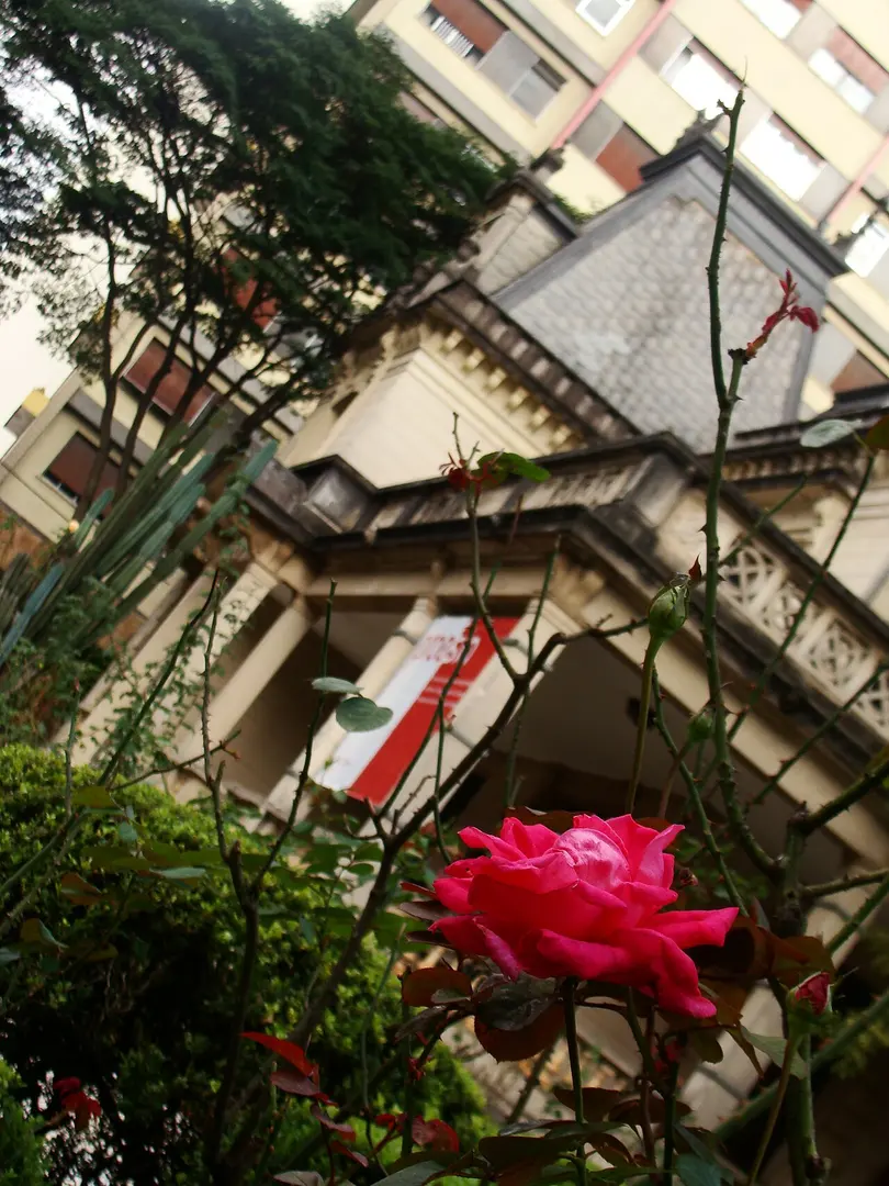 Casa das Rosas