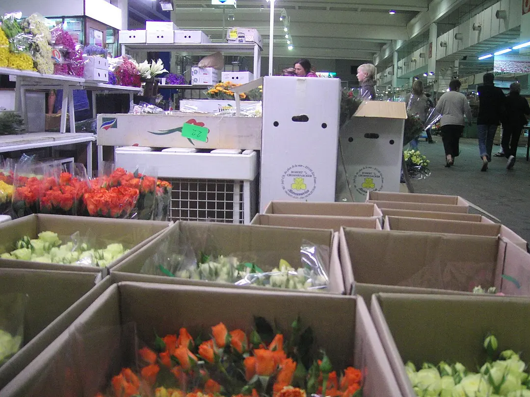 Rungis International Market