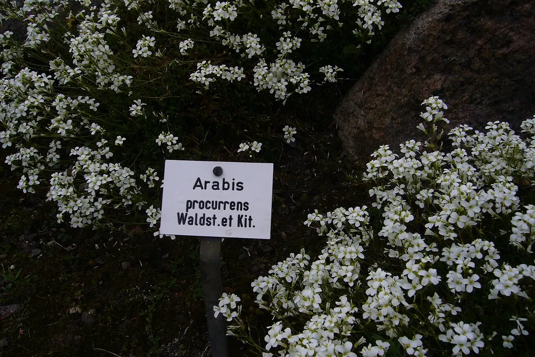 Botanischer Garten der Universität Rostock