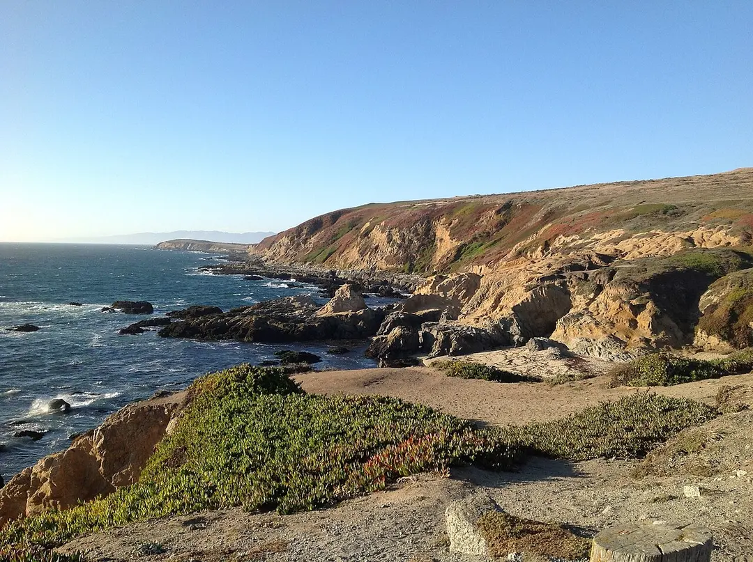 Bodega Head