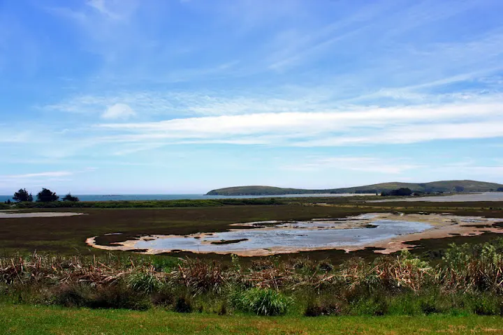 Bodega Head