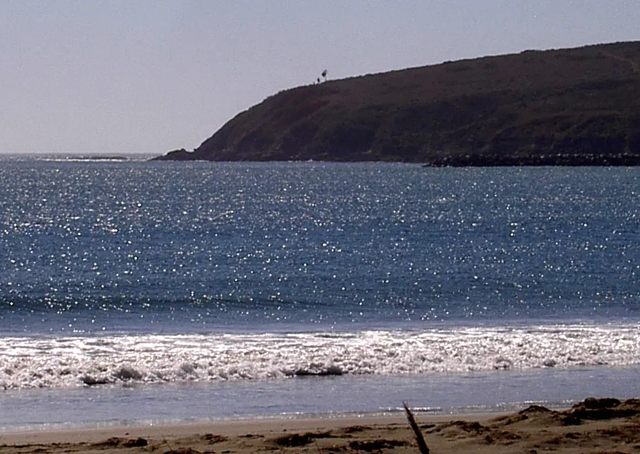 Bodega Head