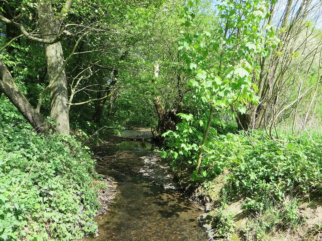 Wannebach