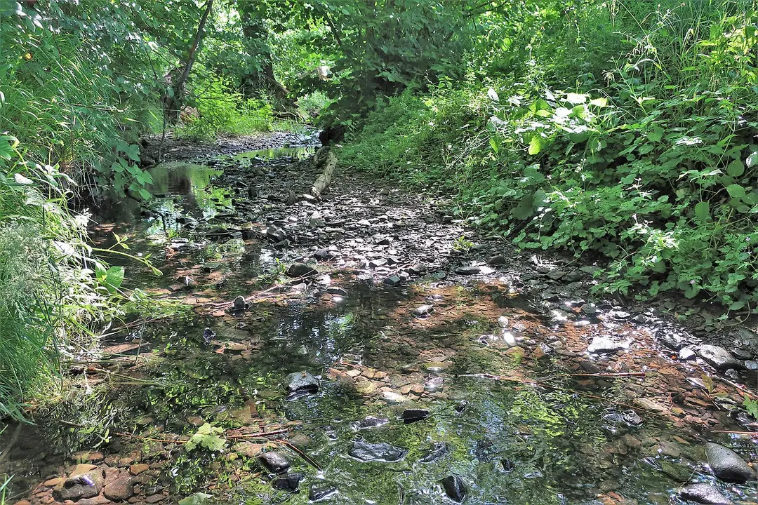 Wannebach