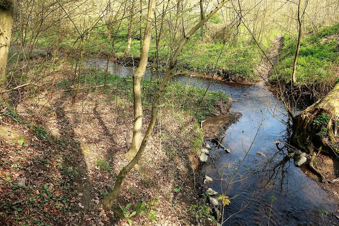 Wannebach