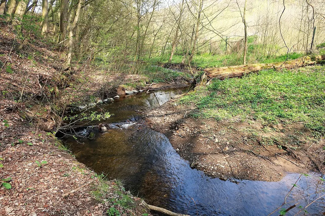 Wannebach