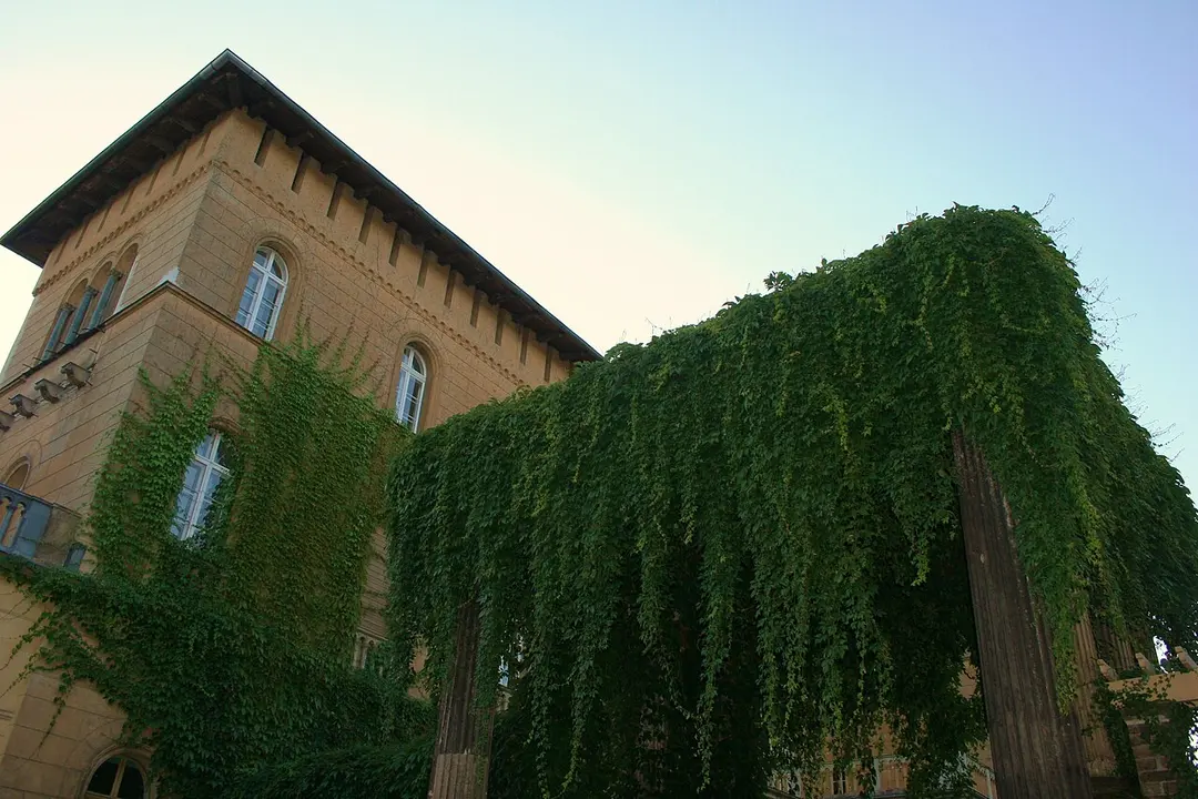 Friedenskirche