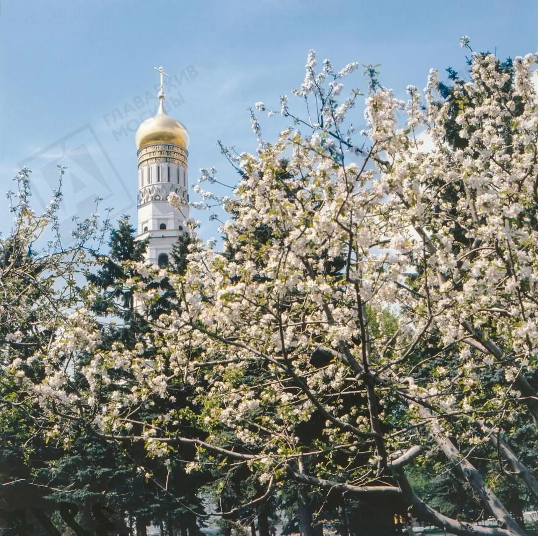 Geheimgangsgarten
