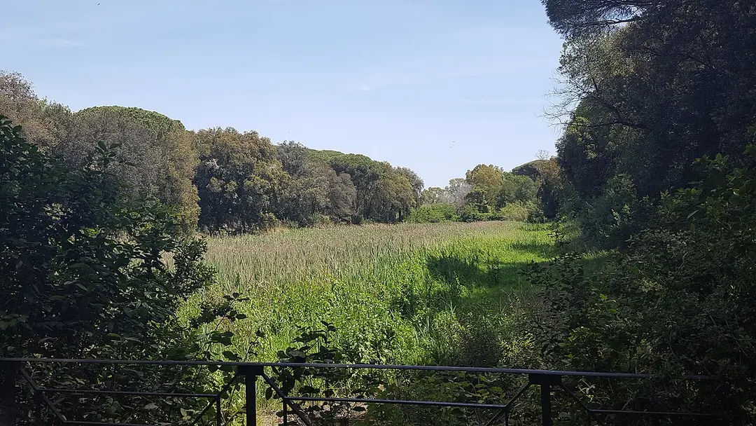 Portus Romae