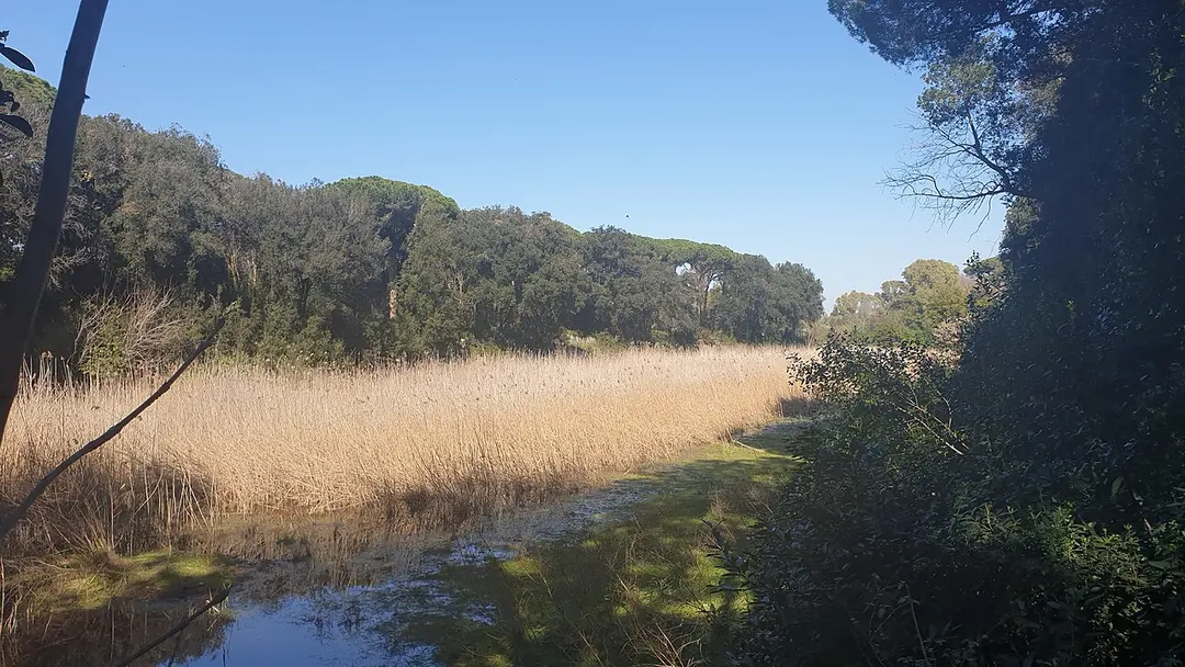 Portus Romae