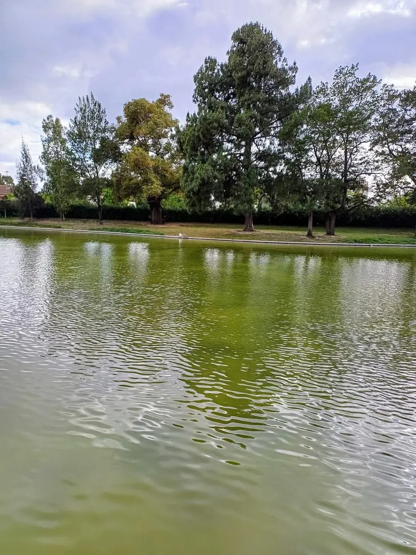 Garten des großen Feldes