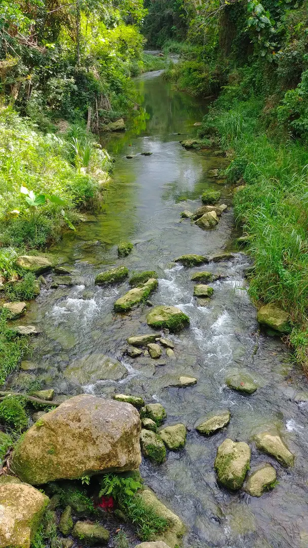 Río Indio