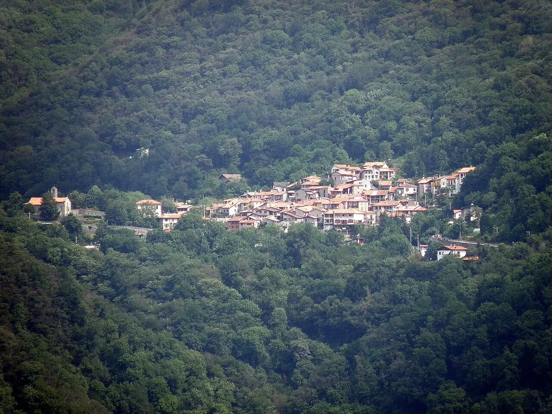 Arcumeggia