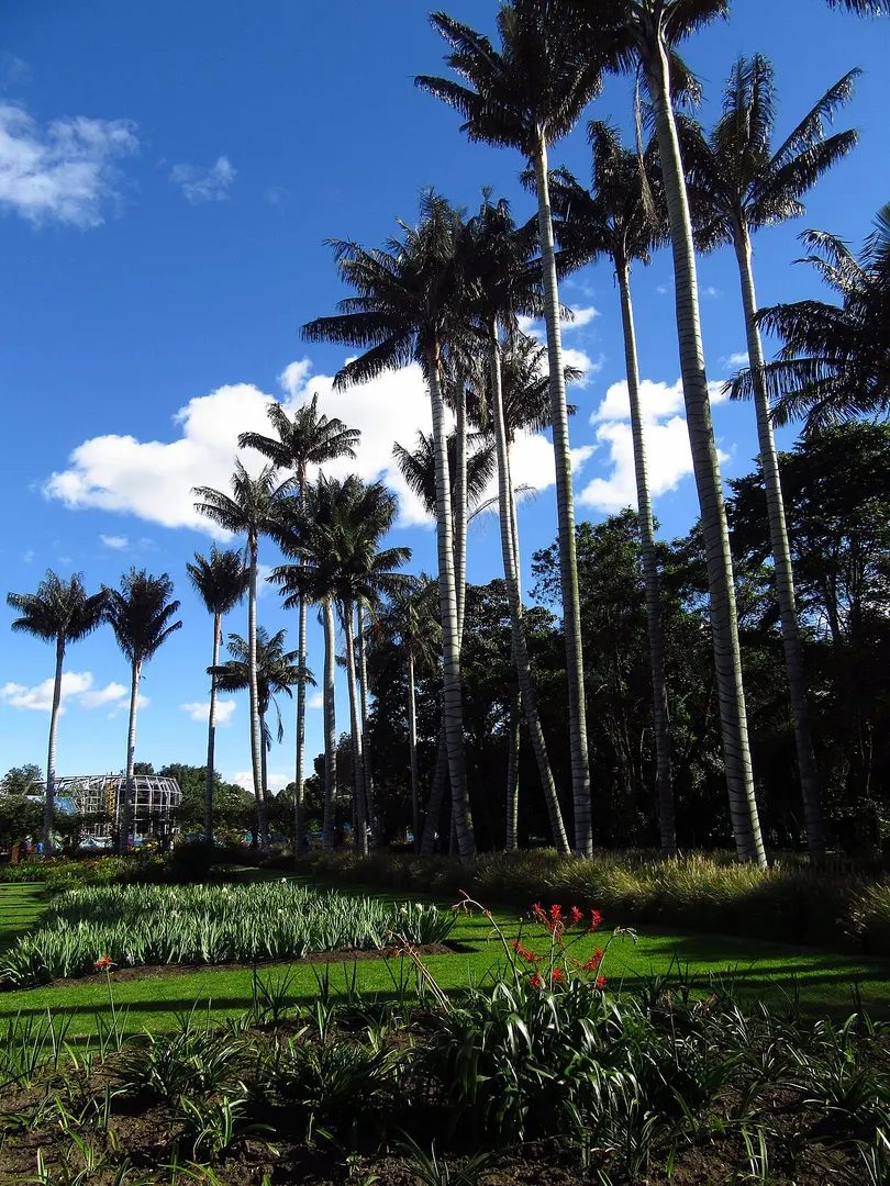 Botanischer Garten von Bogotá