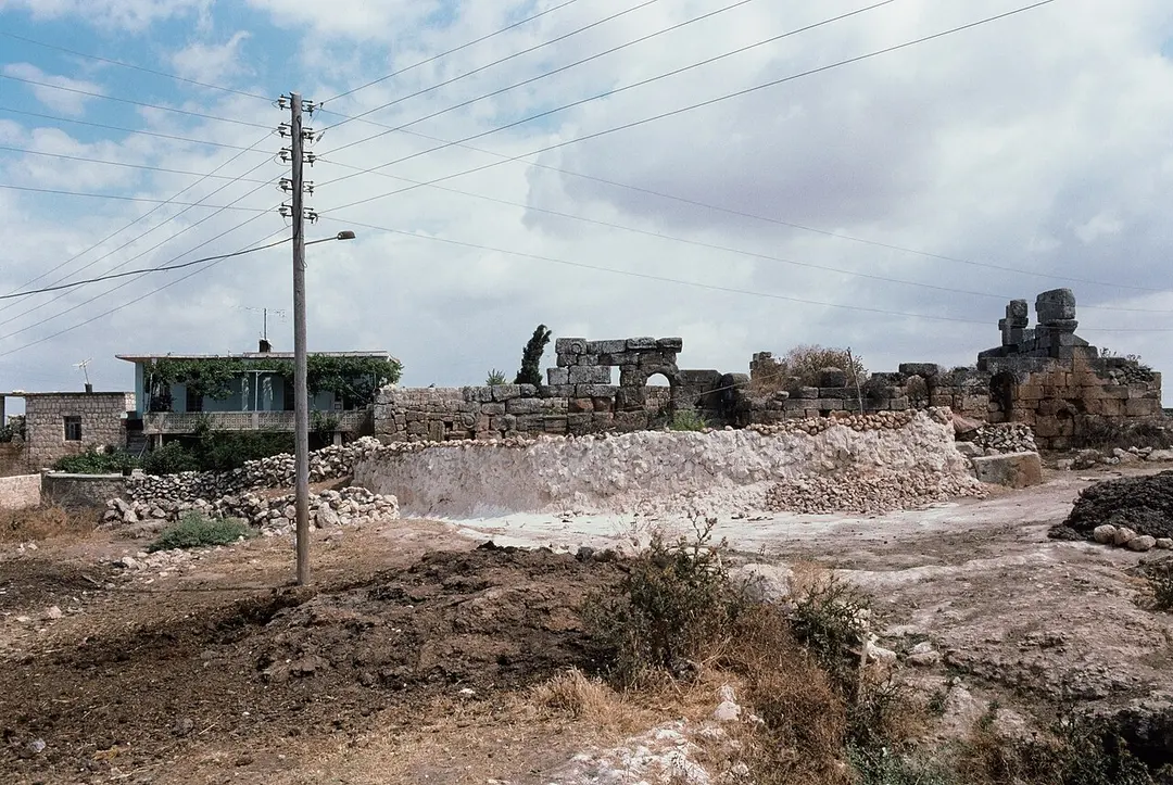 Basufan