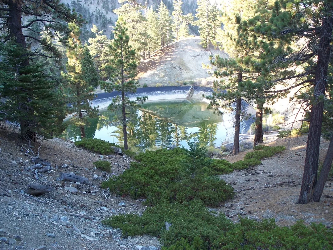 Angeles-Nationalforst