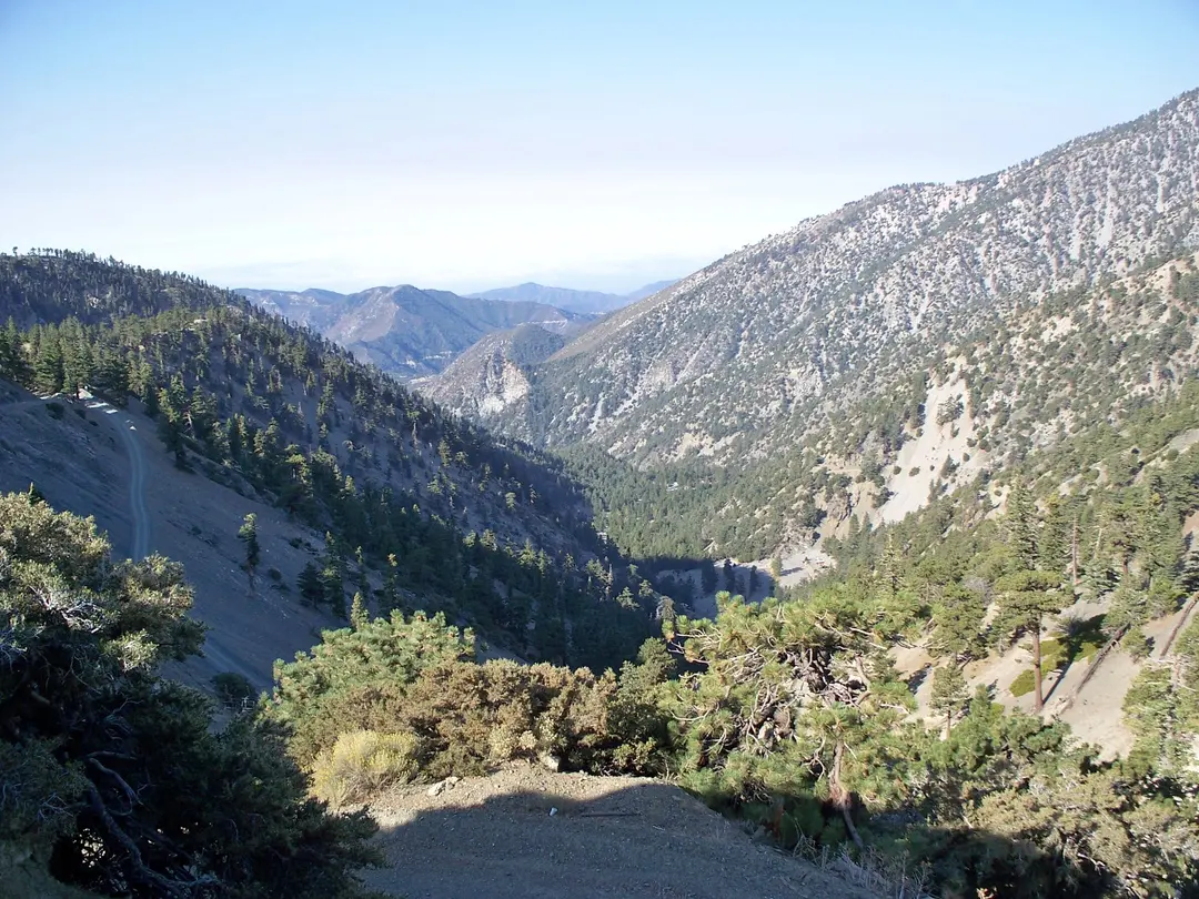 Angeles-Nationalforst