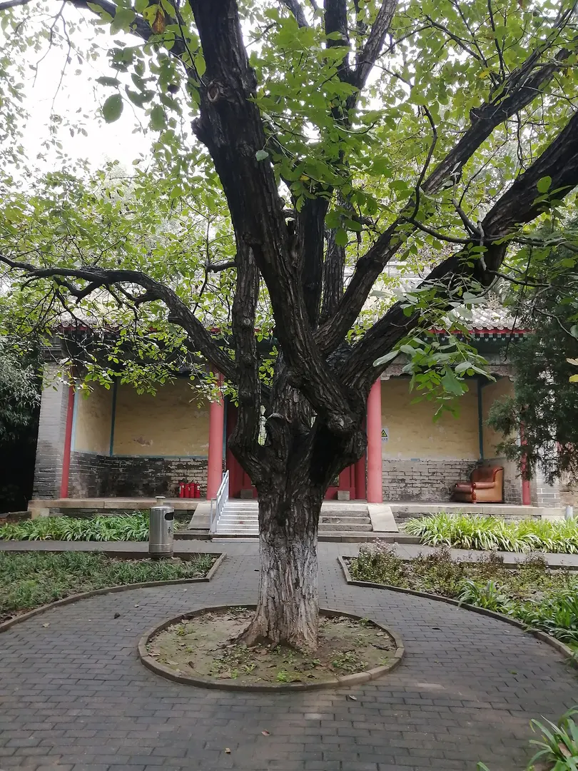 Jingtai-Mausoleum