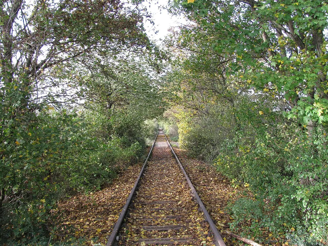 Bahnhof Hattersheim (Main)