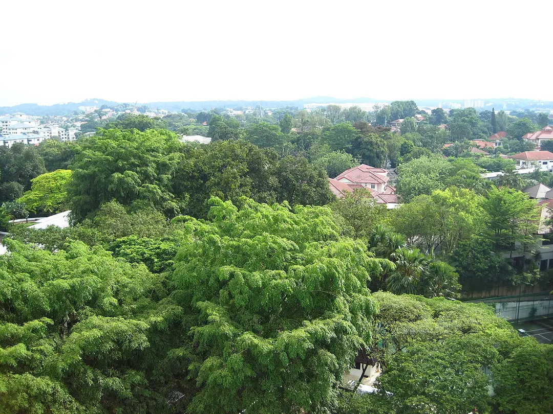 Bukit Timah