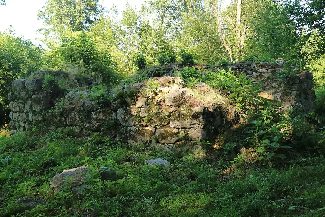 Goldhannwarte