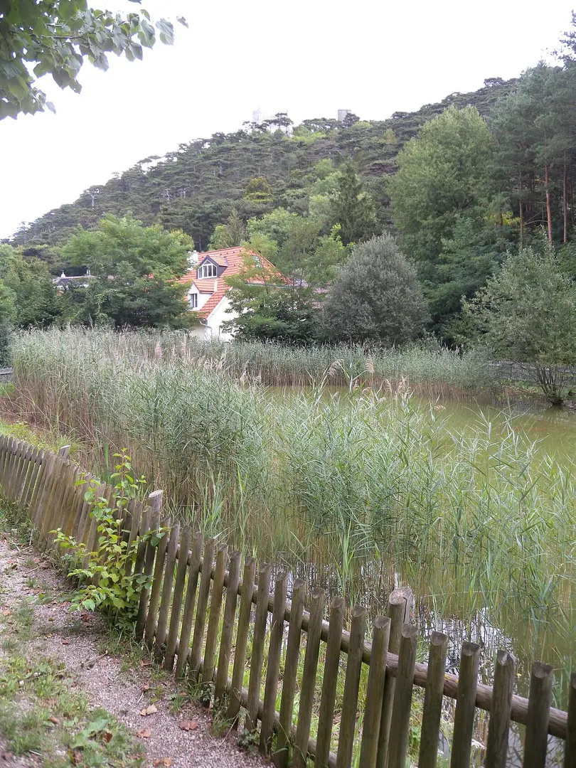 Burgruine Mödling